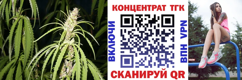дарнет шоп  Пудож  ТГК вейп с тгк 