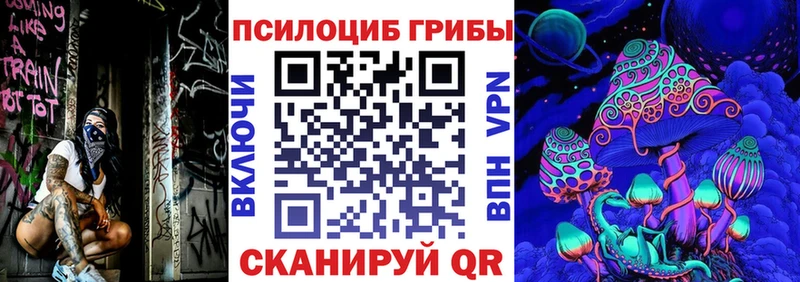 продажа наркотиков  Пудож  Псилоцибиновые грибы GOLDEN TEACHER 